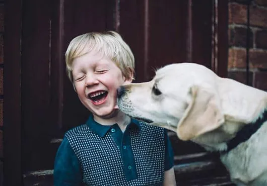 niños cuidan animales